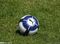 鹈鹕传奇,678体育,678体育平台,678体育平台,678体育官方网站,678体育登录入口,678体育app下载