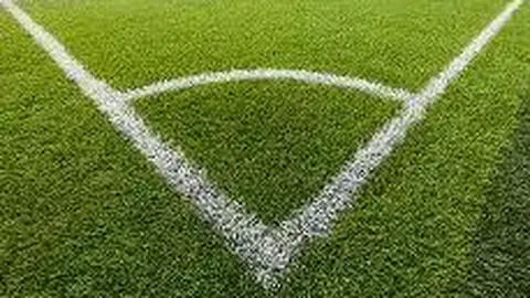 曼联崛起关键在名宿基恩激励球员