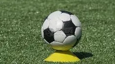 678体育 资讯 131554 yf6