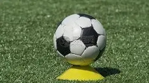 678体育 产品 100138 zxs